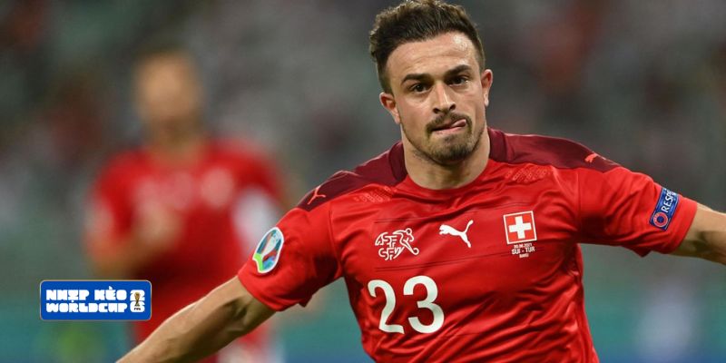Cách chọn kèo World Cup cực chuẩn ít người biết Cách chọn kèo World Cup cực chuẩn ít người biết