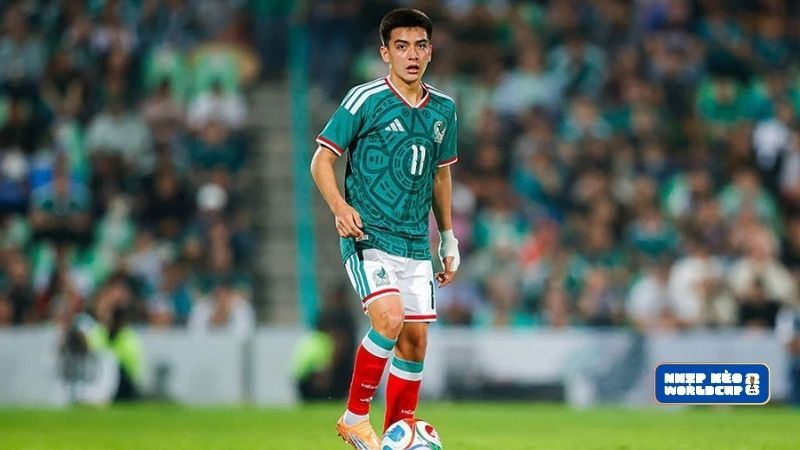 Lịch sử tham gia World Cup của Mexico