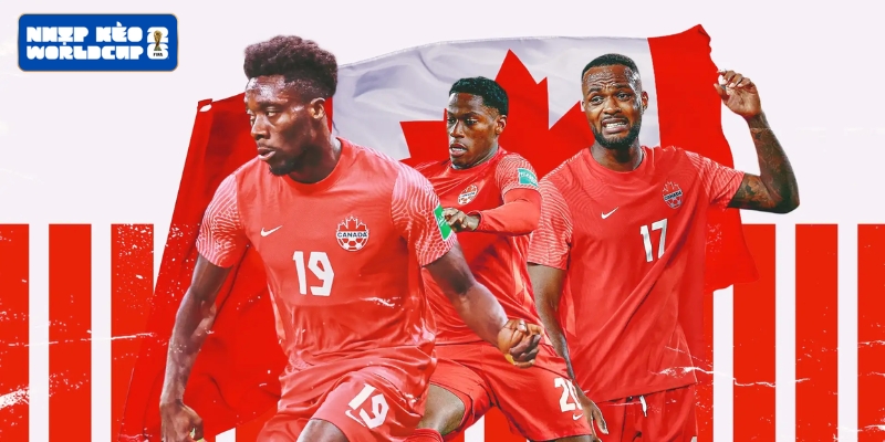Canada đang đứng tại đâu trên BXH FIFA?