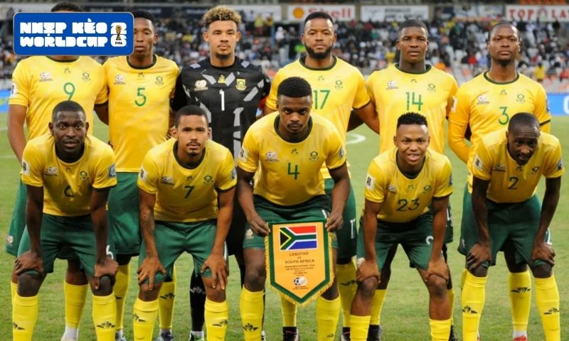 Cơ hội nào cho South Africa tại World Cup 2026?