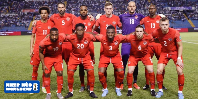 Đánh giá phong độ của đội tuyển tại World Cup 2026