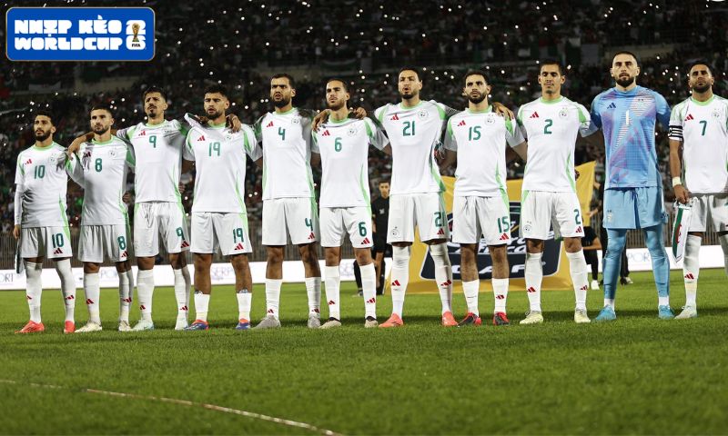 Bản sắc thi đấu của Algeria