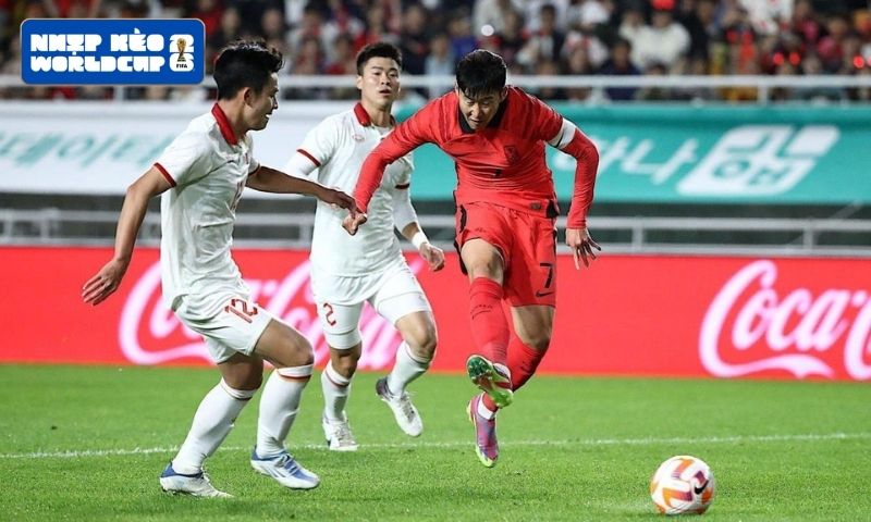 Đội tuyển đạt được nhiều thành tích tại các giải đấu quốc tế