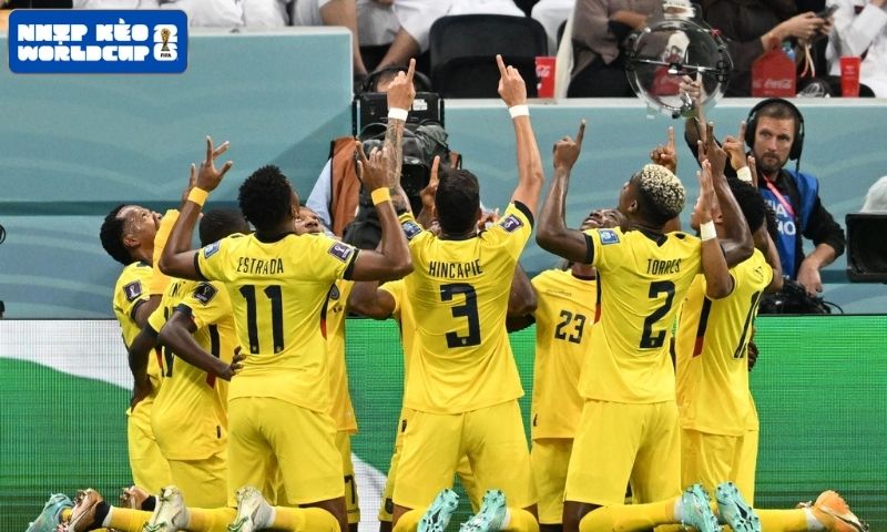 Những dấu ấn của Ecuador tại World Cup