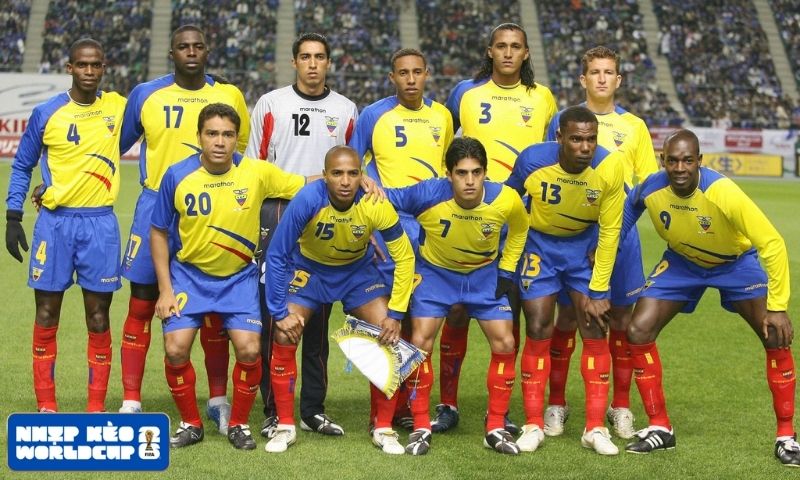 Đội hình Ecuador đến với World Cup 2026