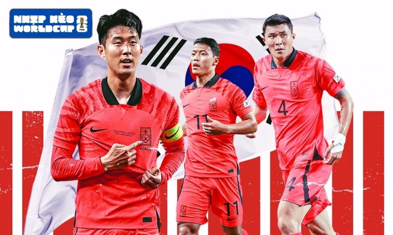 Khám phá những thông tin nổi bật về đội bóng Hàn Quốc
