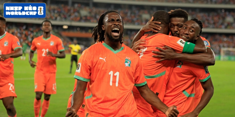 Sức mạnh của Bờ Biển Ngà (Côte d'Ivoire) tại World Cup 2026