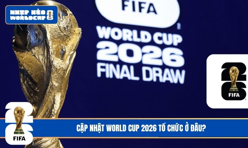 Góc Giải Đáp: World Cup 2026 Tổ Chức Ở Đâu?