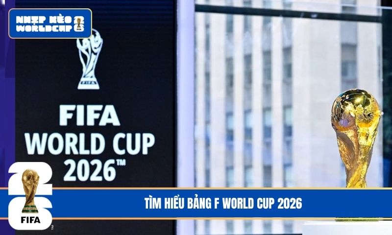 Cập Nhật Tình Hình Bảng F Tại World Cup 2026