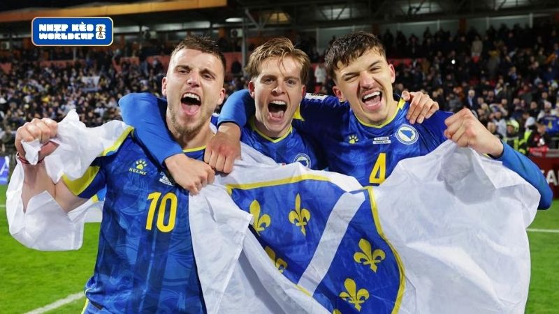 Tìm hiểu lịch sử tham gia World Cup của Bosnia-Herzegovina