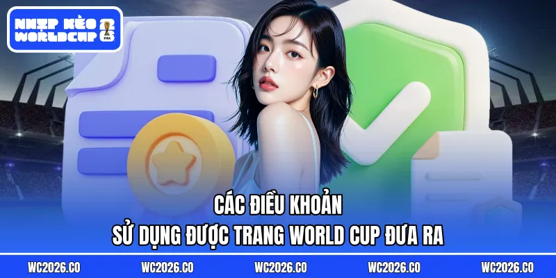 Các điều khoản sử dụng được trang World Cup đưa ra