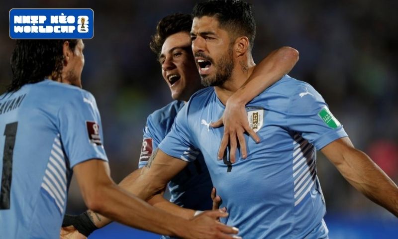 Cơ hội nào cho Uruguay tại World Cup 2026?