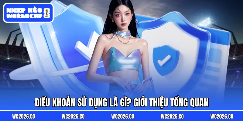 Điều khoản sử dụng là gì? Giới thiệu tổng quan