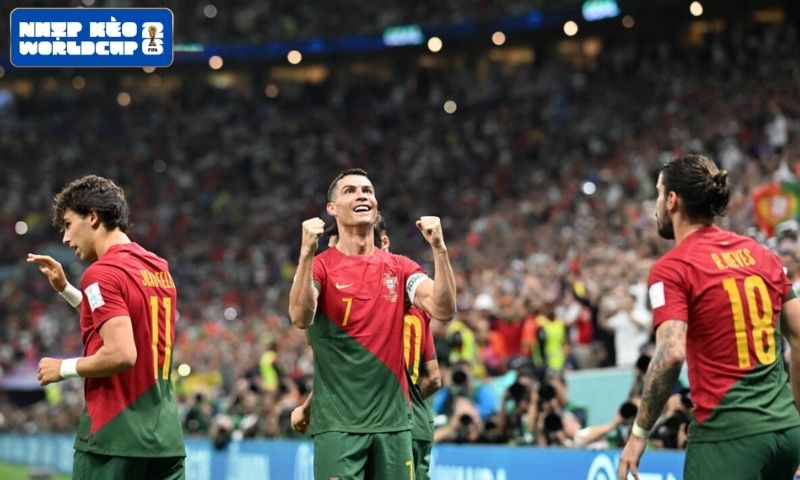 Tổng quan lực lượng Bồ Đào Nha trước thềm World Cup 2026