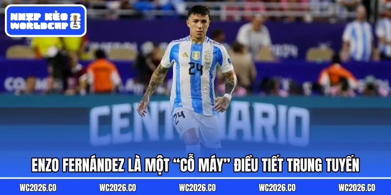 Enzo Fernández là một “cỗ máy” điều tiết trung tuyến