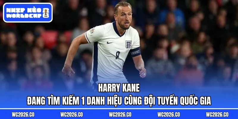 Harry Kane đang tìm kiếm 1 danh hiệu cùng đội tuyển quốc gia