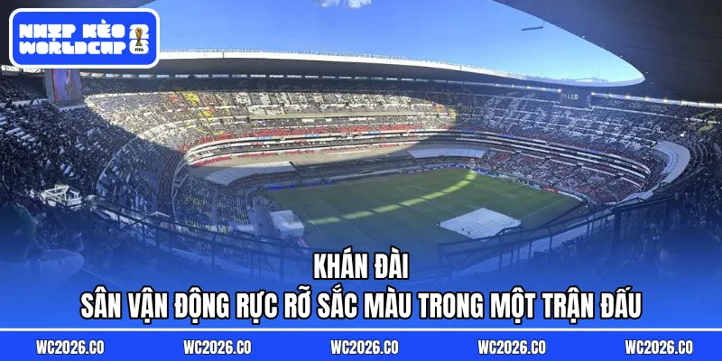 Khán đài sân vận động rực rỡ sắc màu trong một trận đấu