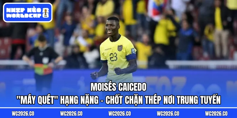 Moisés Caicedo: “Máy Quét” Hạng Nặng – Chốt Chặn Thép Nơi Trung Tuyến