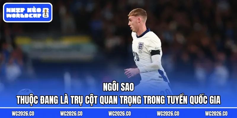 Ngôi sao thuộc đang là trụ cột quan trọng trong tuyển quốc gia
