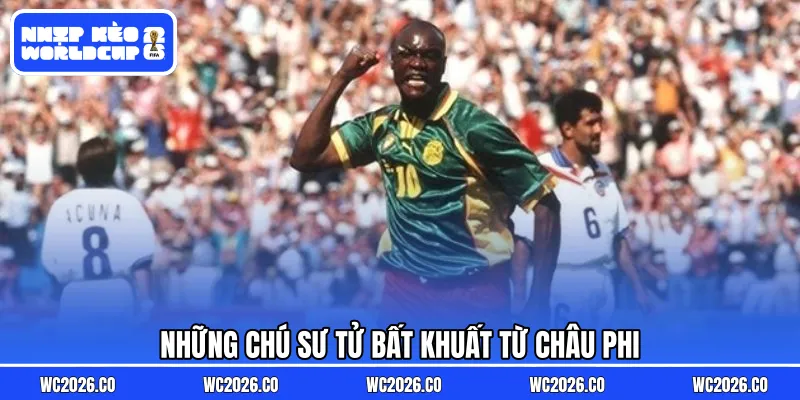 Những chú sư tử bất khuất từ châu Phi