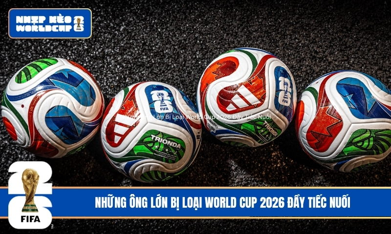 Cú Sốc Lịch Sử – Những Ông Lớn Bị Loại World Cup 2026 Đầy Tiếc Nuối