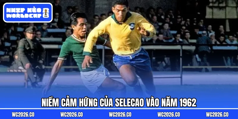 Niềm cảm hứng của Selecao vào năm 1962