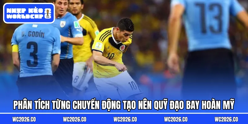 Phân tích từng chuyển động tạo nên quỹ đạo bay hoàn mỹ