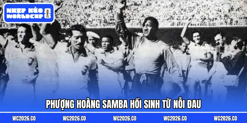 Phượng hoàng Samba hồi sinh từ nỗi đau