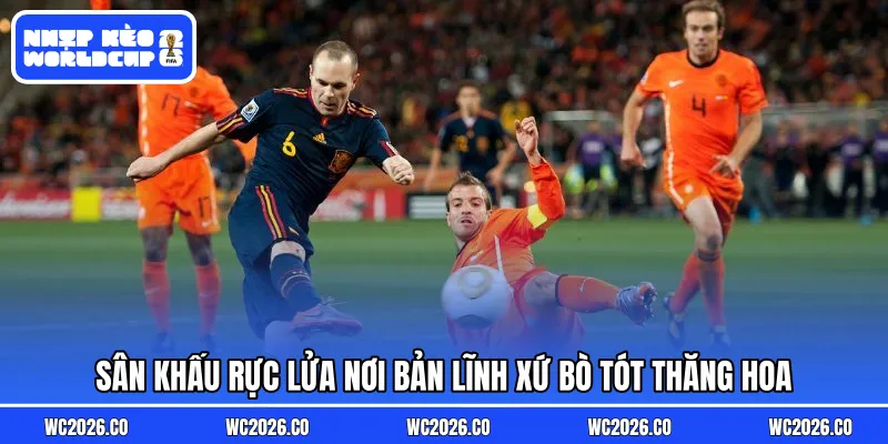 Sân khấu rực lửa nơi bản lĩnh xứ bò tót thăng hoa