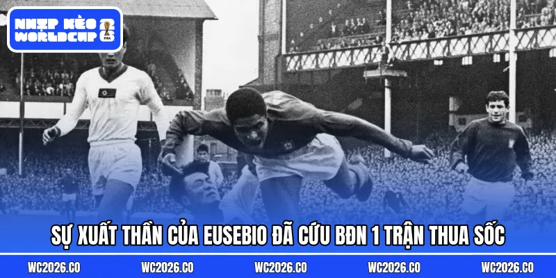 Sự xuất thần của Eusebio đã cứu BĐN 1 trận thua sốc