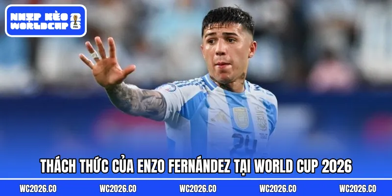 Thách thức của Enzo Fernández tại World Cup 2026