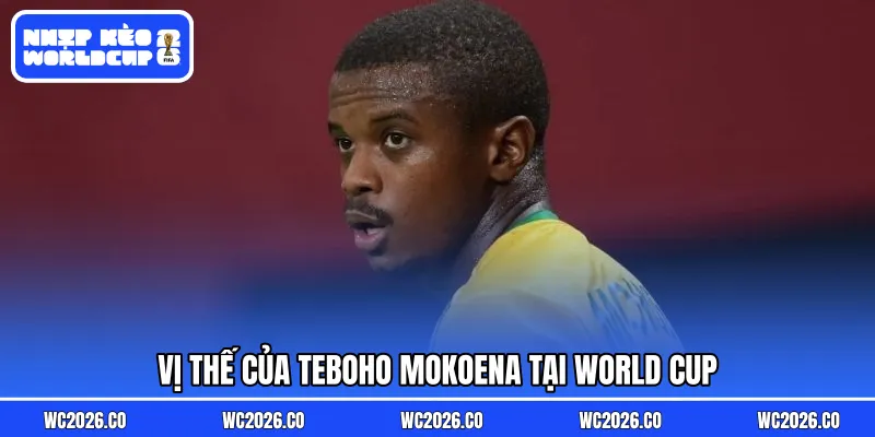 Vị thế của Teboho Mokoena tại World Cup