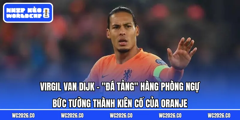 Virgil van Dijk: “Đá Tảng” Hàng Phòng Ngự – Bức Tường Thành Kiên Cố Của Oranje