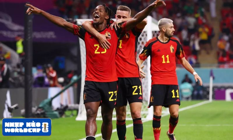 Chi tiết danh sách những cái tên dự World Cup của tuyển Bỉ