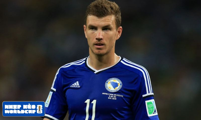 Đội hình Bosna và Hercegovina có gì đáng chú ý?