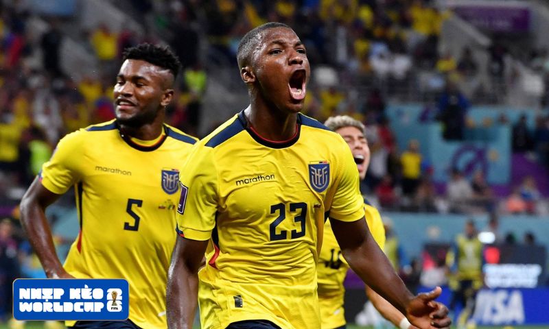Moisés Caicedo - thủ lĩnh mới của bóng đá Ecuador
