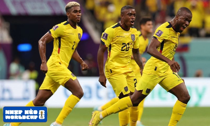 Ecuador có thể tạo nên kỳ World Cup thành công nhất lịch sử?