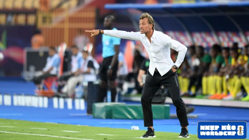 Huấn luyện viên Hervé Renard