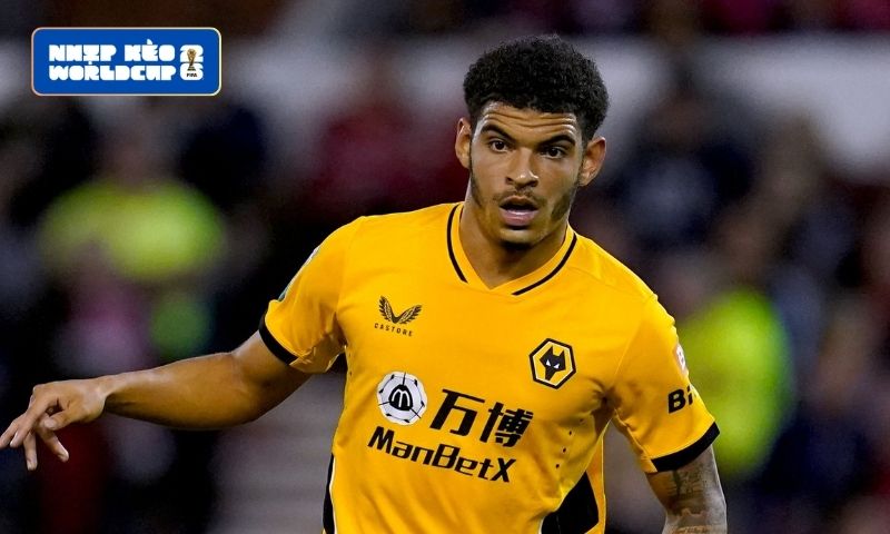 Gibbs - White thăng hoa trong màu áo Nottingham Forest Gibbs - White thăng hoa trong màu áo Nottingham Forest