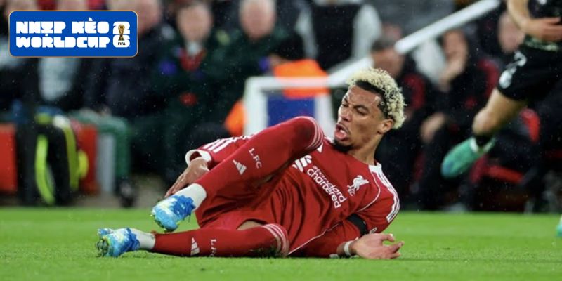 Hugo Ekitike ngậm ngùi chia tay giấc mơ World Cup do chấn thương Hugo Ekitike ngậm ngùi chia tay giấc mơ World Cup do chấn thương