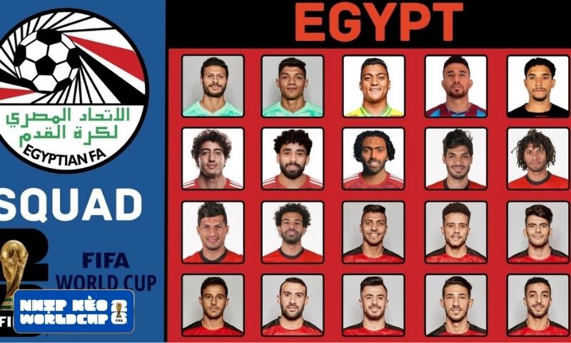 Ai Cập chính thức công bố đội hình tham dự World Cup Ai Cập chính thức công bố đội hình tham dự World Cup