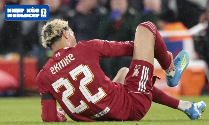 Hugo Ekitike Đứt Gân Achilles - Cú Sốc Từ Anfield Hugo Ekitike Đứt Gân Achilles - Cú Sốc Từ Anfield