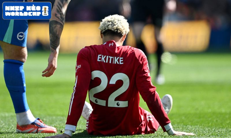 Liverpool Thiệt Hại Ra Sao Sau Chấn Thương Của Ekitike? Liverpool Thiệt Hại Ra Sao Sau Chấn Thương Của Ekitike?