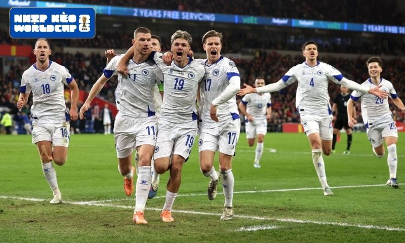 Liên bang Bosna và Hercegovina mở màn cuộc đua công bố đội hình World Cup