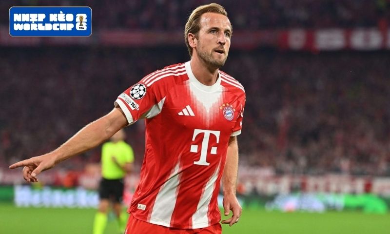Harry Kane đang có phong độ ra sao ở cấp CLB? Harry Kane đang có phong độ ra sao ở cấp CLB?