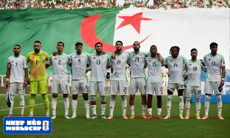Tuyển Algeria dự World Cup 2026 bao gồm những ai?