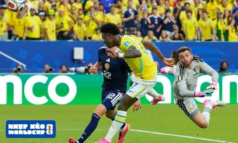 Brazil khẳng định sức mạnh bằng chiến thắng thuyết phục trước Scotland