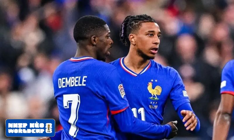 Olise, Dembele và tuyến giữa tuyển Pháp cũng được điều chỉnh