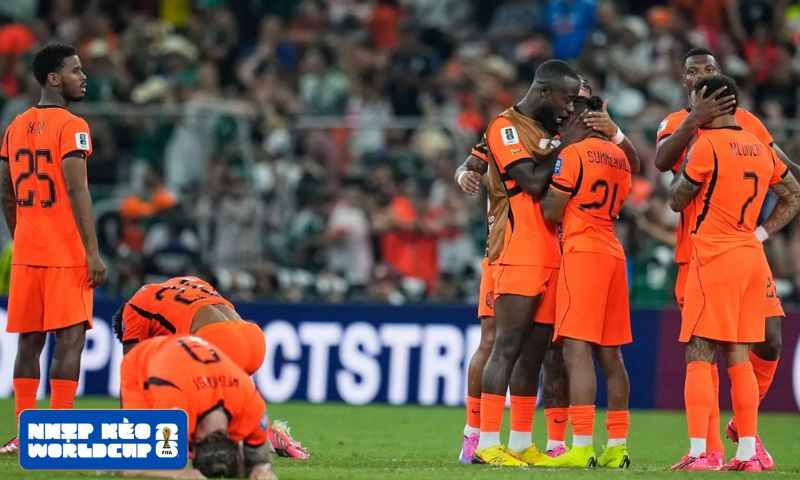 Hà Lan nhận trái đắng với kỳ World Cup đáng quên