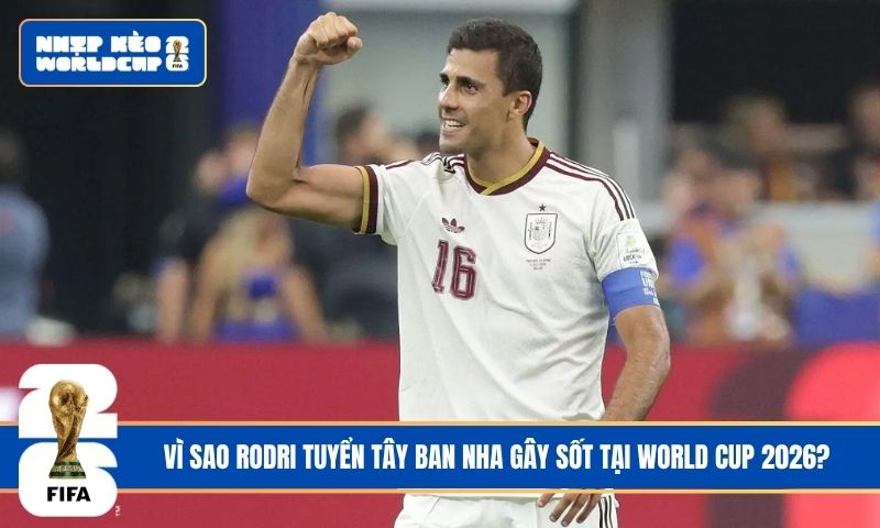 Vì sao Rodri tuyển Tây Ban Nha gây sốt tại World Cup 2026?